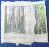 Blue Pools, flap book