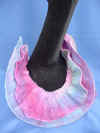 Collar 1
