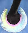 Collar 2