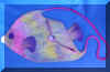 Angel Fish bag