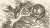 Cheshire Cat, original.jpg (210474 bytes)